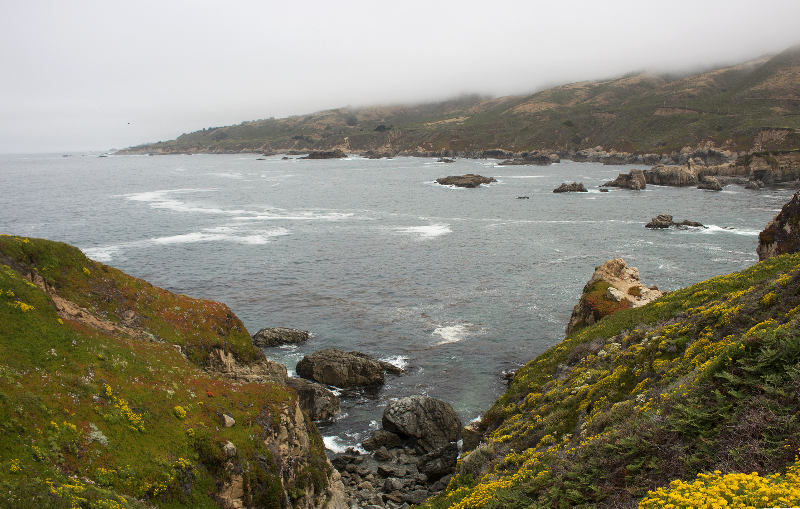 Guide to Exploring California's Coast: Garrapata