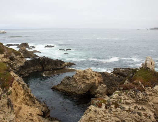 Guide to Exploring California's Coast: Garrapata