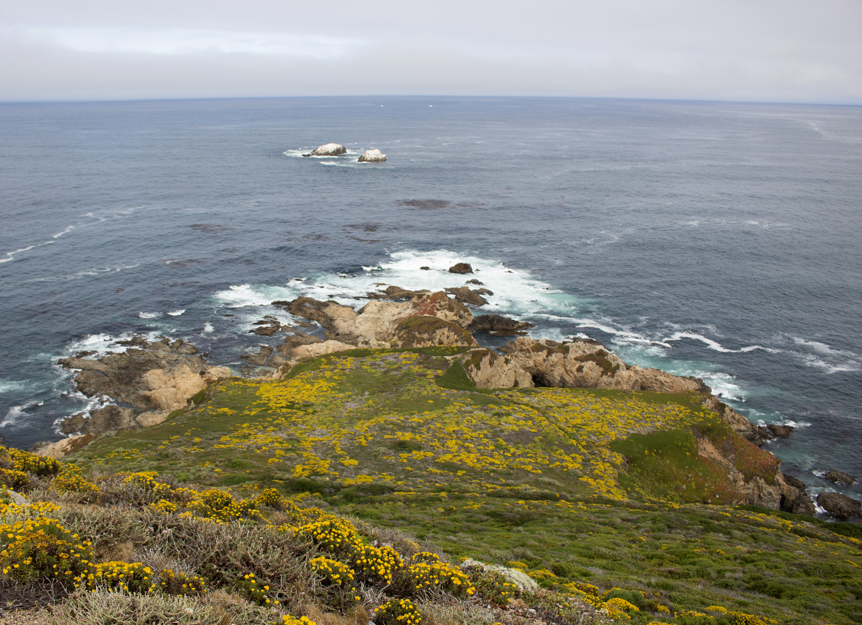 Guide to Exploring California's Coast: Garrapata