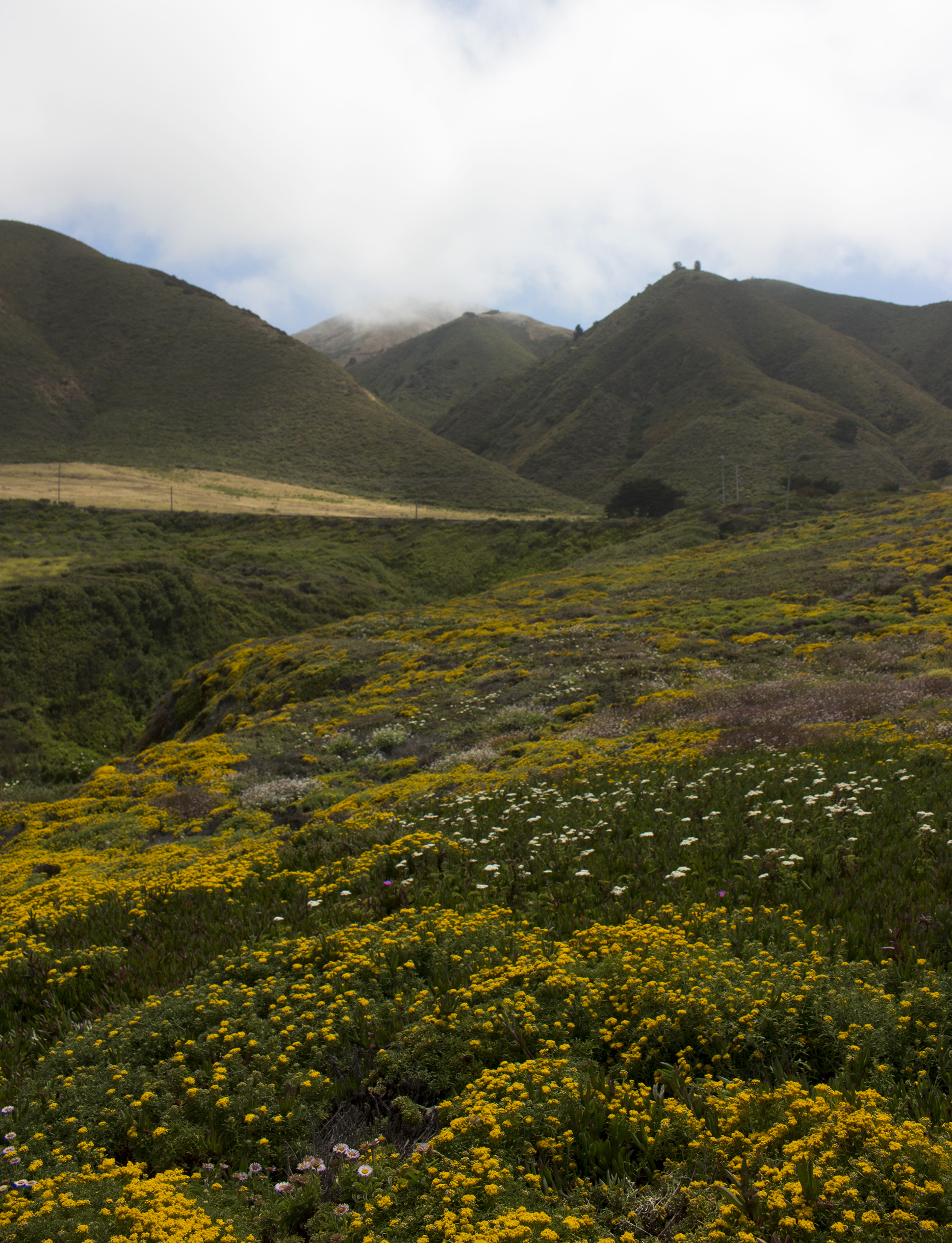 Guide to Exploring California's Coast: Garrapata