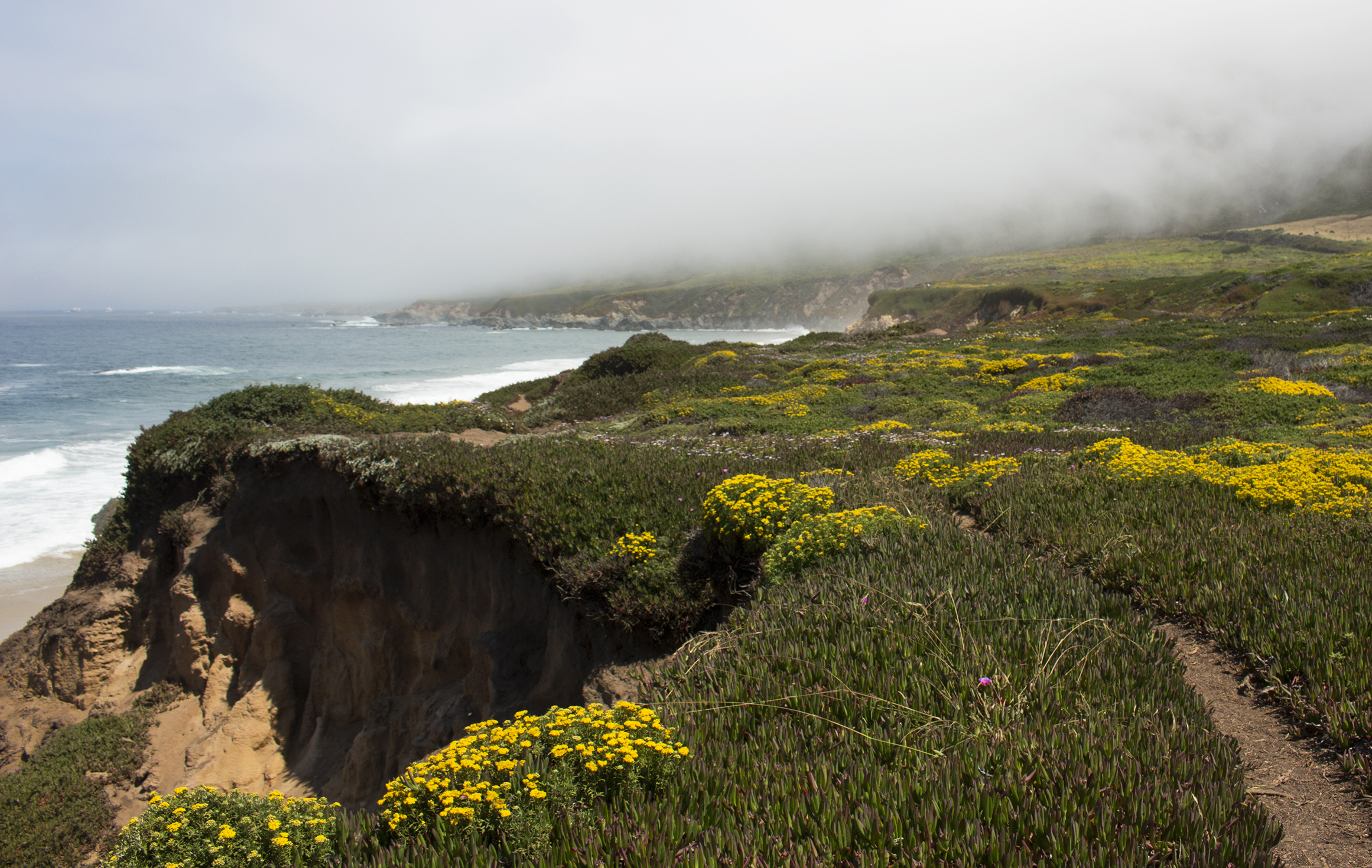 Guide to Exploring California's Coast: Garrapata