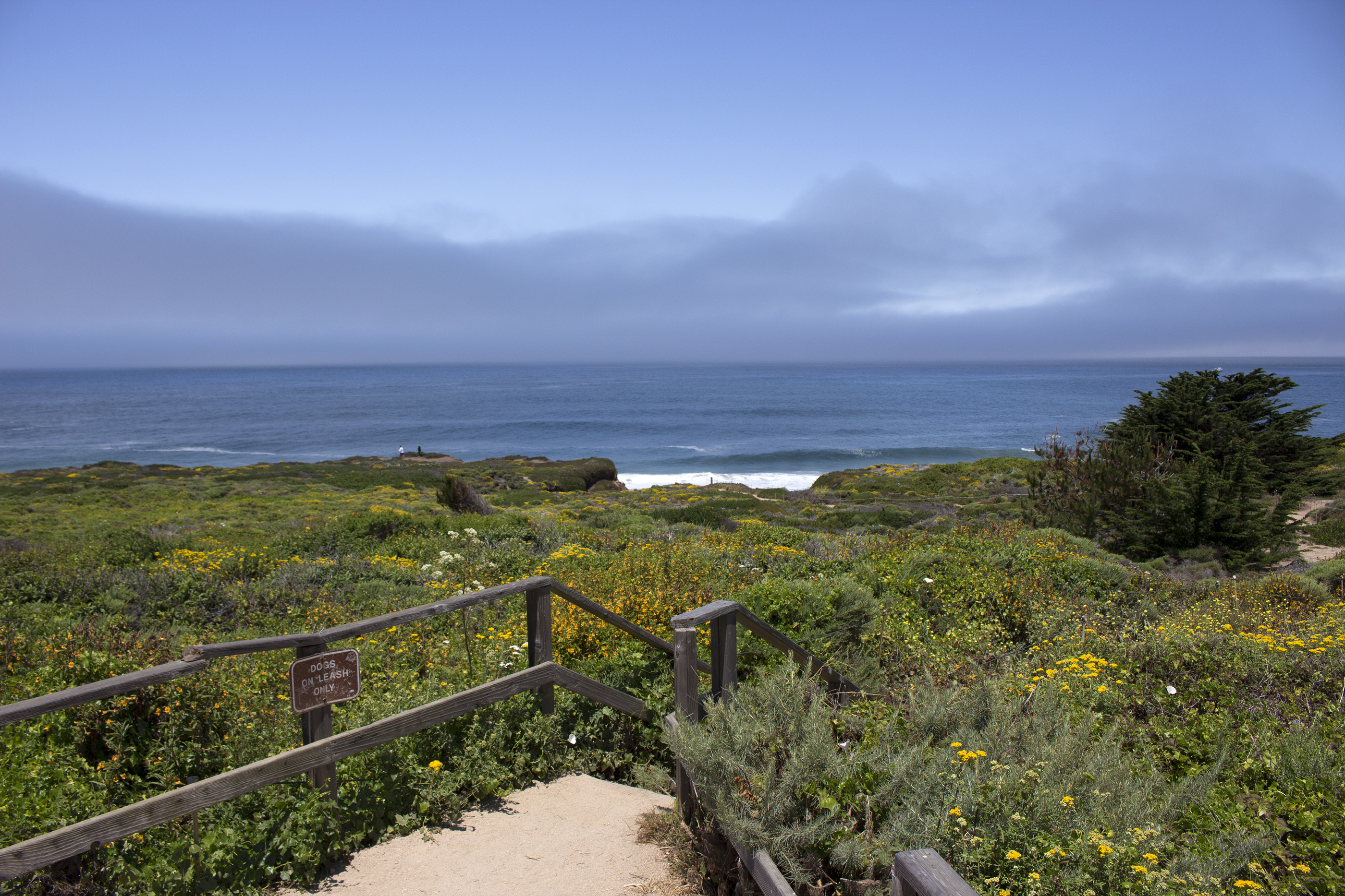 Guide to Exploring California's Coast: Garrapata