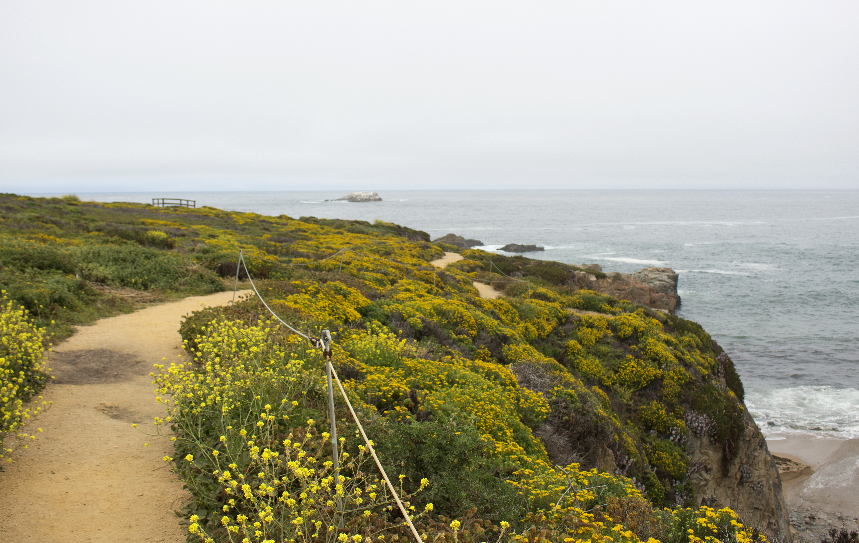 Guide to Exploring California's Coast: Garrapata