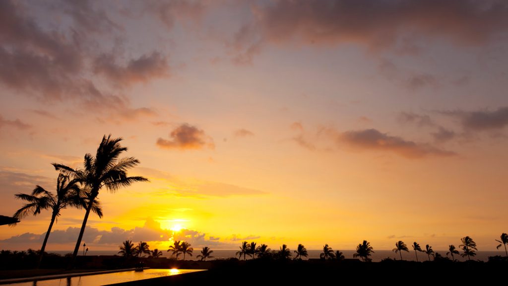 A 12 Million Dollar Hawaiian Masterpiece