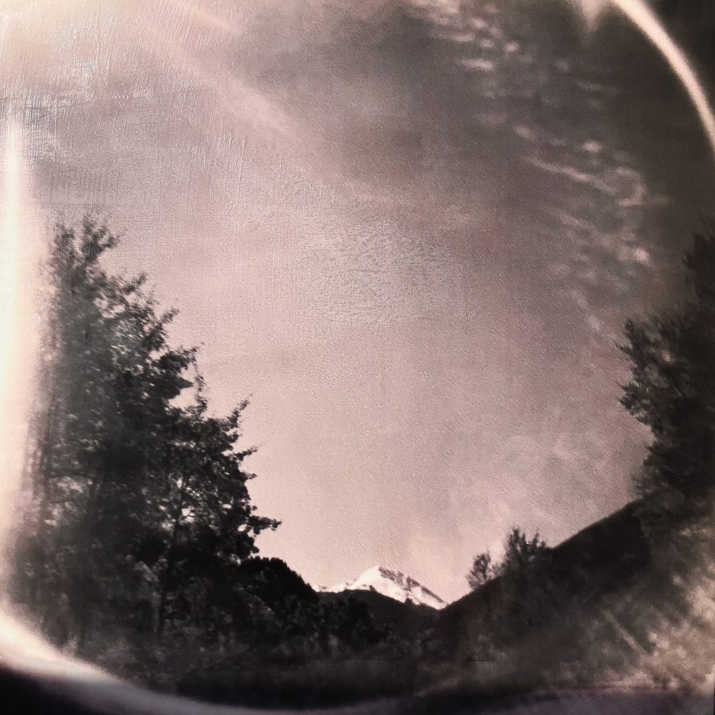 Aspen Trees: Talking The Holga with Artist Molly McCall