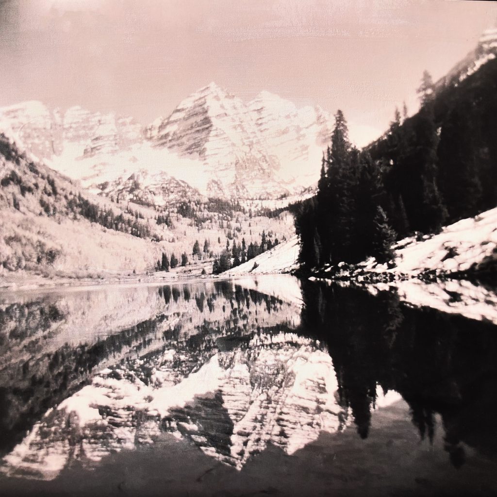 Aspen Trees: Talking The Holga with Artist Molly McCall