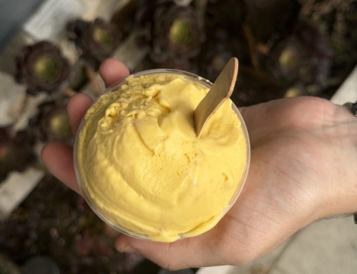 Pure Joy Ice Cream