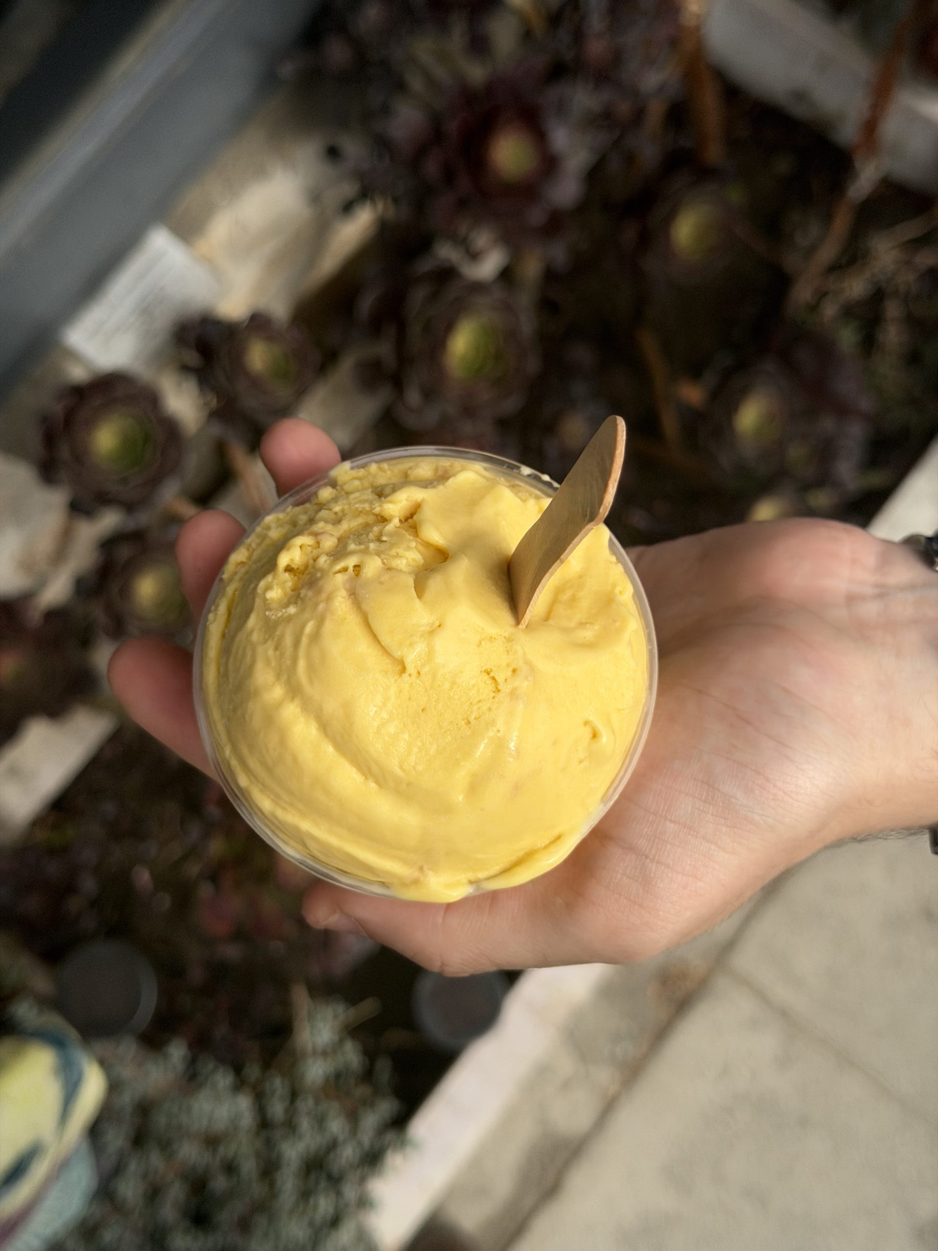 Pure Joy Ice Cream
